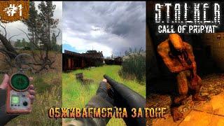 S.T.A.L.K.E.R :Call of Pripyat (Зов Припяти) Gunslinger  Прохождение   Обживаемся на Затоне   #1.