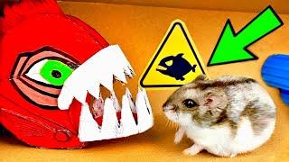 JAWS Hamster Maze with Traps [OBSTACLE COURSE]