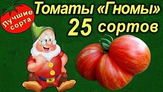 ТОМАТЫ СЕРИИ "ГНОМЫ" - обзор 25 сортов (лучшие сорта томатов)