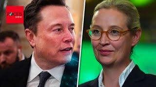 Musk-Kenner warnt: Wenn Elon ernst macht, kommt die AfD auf 30 Prozent