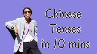 Basic Principles of Chinese Tenses, know when to use了, 不, 没有