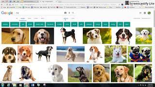 Advanced Google Search:  Find PNG Image