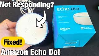 Echo Dot: Not Responding, Frozen or Not Working? FIXED!