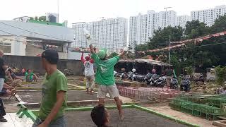 aduan merpati tomprang lapak Pisang kandang Hijau vs kandang Merah Putih