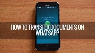 How to Share Documents in WhatsApp