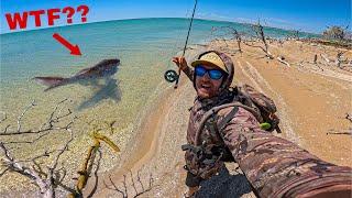 3 Days Camping, Fishing & Hunting for Giant Fish - Remote Australia