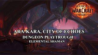 The War Within Beta Dungeon Ara-Kara, City Of Echoes Stormbringer Elemental Shaman 4K Ultra Settings