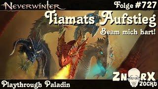 NEVERWINTER #727 Tiamats Aufstieg - Prüfungswarteliste mit Randoms - Paladin Let‘s Play PS4 Deutsch