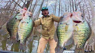 THESE SLABS ARE HUGE!!! --Did I Just Catch My NEW PB Crappie?!?! (Biggest in YEARS!)