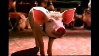Babe Pig in the City Movie Trailer 1998 - TV Spot