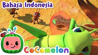 Semut dan Belalang | CoComelon Bahasa Indonesia - Lagu Anak Berperilaku Baik | Nursery Rhymes