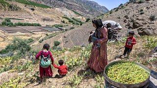 Mountains and Motherhood: Firewood, Pistachios, and a Gosling Haven