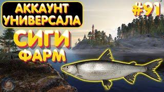 Аккаунт универсала #91 | Фарм на Сигах | оз. Ладожское | Русская Рыбалка 4