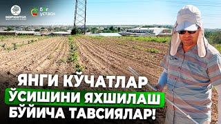 СУҒОРИШ БИЛАН БИРГА ҚИЛИНАДИГАН ИШЛАР! | ШУҲРАТ АБРОРОВ #shuhratabrorov #olma #nok #gilos #suv #uzum