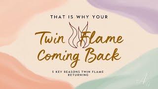 That Is Why Your Twin Flame Is Coming Back  5 Key Reasons Twin Flame Returning