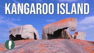 Kangaroo Island | Australia Nature | South Australia | Wildlife | Landscapes