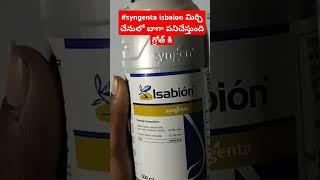 #isabion syngenta uses in telugu#trendingshorts#agriculture#farmer#syngenta isabion telugu#viral