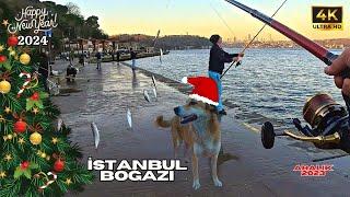 BURUNBAHÇE İSTAVRİT AVI | ÇAPARİ İLE BALIK AVI #fishing #balıkavı #istavrit #istanbulboğazı