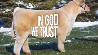 In God We Trust