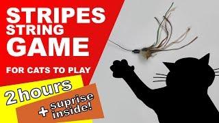 Cat Games: 2 Hours! (Surprise Inside)