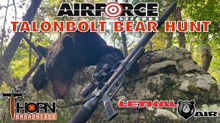 Airforce TalonBolt Bear Hunt