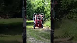 HEU heimfahren Mit IHC 633 und Mengele Ladewagen | NB Agrarvideos