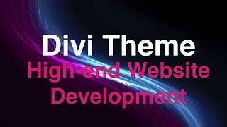 DIVI Theme: High end Website Development‎