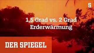 Erklärvideo zum Klimaschutzziel: Warum es nur 1,5 Grad wärmer werden darf | DER SPIEGEL