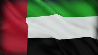 United Arab Emirates Flag Waving | United Arab Emirates Flag Background Video