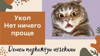 Укол. Нет ничего проще. Делаем подкожную инъекцию.