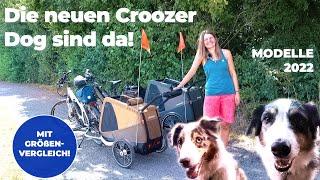 Test Hundeanhänger Croozer Dog Enna und Croozer Dog Mikke