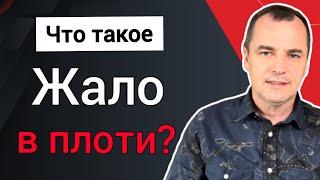 Что значит «жало в плоти» у апостола Павла? Роман Савочка