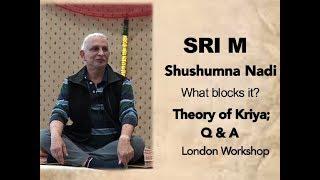 Sri M - What blocks the Shushumna Nadi? Theory of Kriya; Q&A - London Workshop June 2019