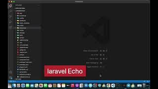 29 installing laravel echo (Laravel-Livewire Chat-Message App Tutorial)