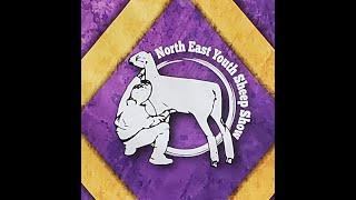 Northeast Youth Sheep Show - RING 1: Sunday, July 21, 2024 - 8:00 AM