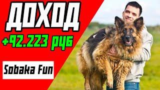 Sobaka Fun (СОБАКАФАН) - ДОХОД, ЗАРАБОТОК НА ЮТУБЕ | БУДУЩЕЕ КАНАЛА