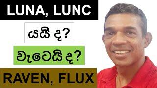 LUNA AND LUNC | PUMP OR DUMP??? | RAVENCOIN AND FLUX