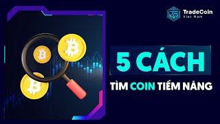 5 cách để tìm một đồng coin tiềm năng 2022 - 2024