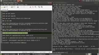 How to install Utorrent on Ubuntu 16.04 MATE