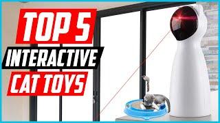 Top 5 Best Interactive Cat Toys in 2024