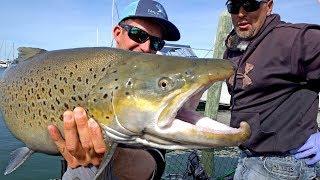 Fishing for Monster Brown Trout by Downtown Milwaukee on Lake Michigan - ft. Eric Haataja - 4K