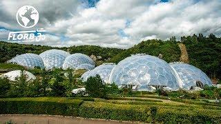 They Built a Rainforest Ecosystem inside a Geodesic Dome