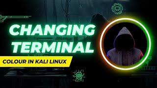 How to change terminal text color in Kali Linux