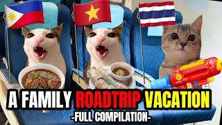 CAT MEMES: THE ULTIMATE FAMILY ROADTRIP VACATION