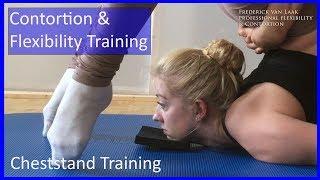 33 Flexyart Contortion: Basic Cheststand Training  - Also for Yoga, Pole, Ballet, Dance People