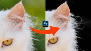 Quick Way to Remove Complex Background in Photoshop 2024