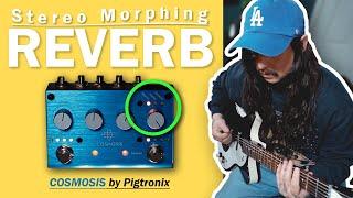 The only reverb pedal you need