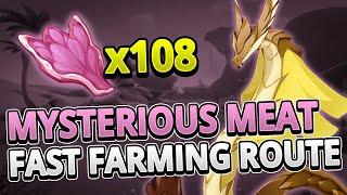 Mysterious Meat 108 Locations FAST FARMING ROUTE +TIMESTAMPS | Genshin Impact 3.4