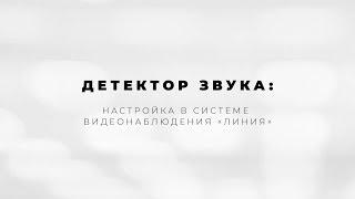 Детектор звука: настройка в системе видеонаблюдения "Линия"