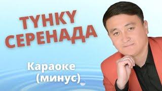 Кыргызча минусовка караоке ТҮНКҮ СЕРЕНАДА тексти менен